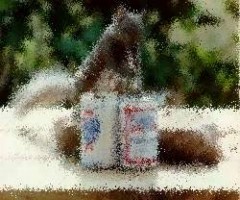 Pc spiele puzzle